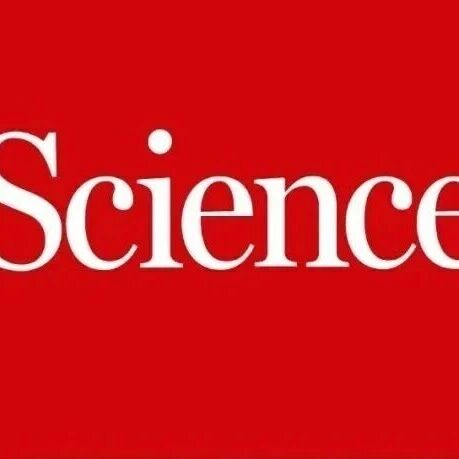 为了活在云端，它必须在“呼吸”和“吃饭”之间做选择——《Science》揭开生存密码：不只是抗缺氧，还要会“解毒”