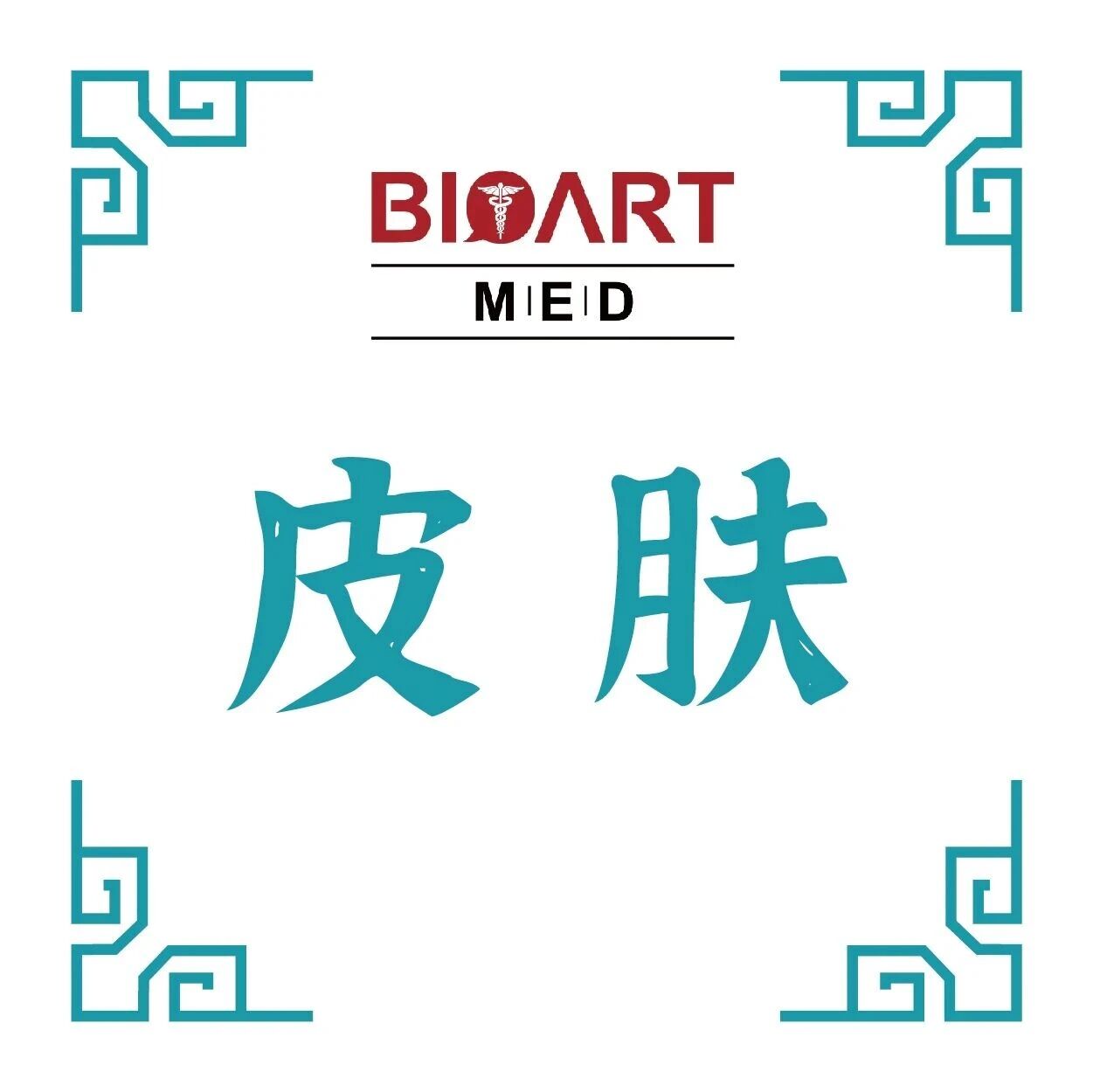 Cell Rep Med丨痤疮丙酸杆菌代谢产物通过AhR保护皮肤屏障功能