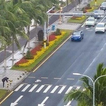该省明确！平稳推进2030年禁售燃油车！