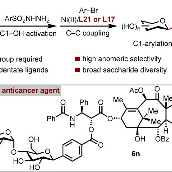【JACS】上海交通大学樊洲龙团队: 配体促进镍催化天然糖C1位芳基化新策略