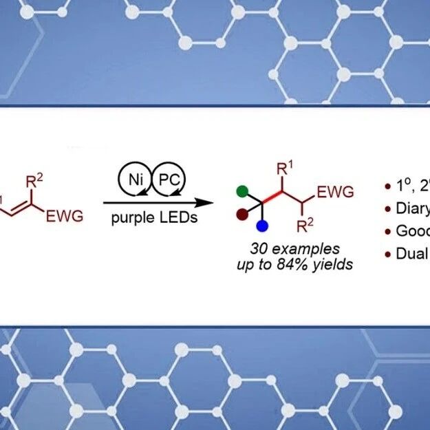 陕西师范大学薛东/康腾飞Org. Lett.：镍/光氧化还原催化氧-烷基异脲参与的Giese反应