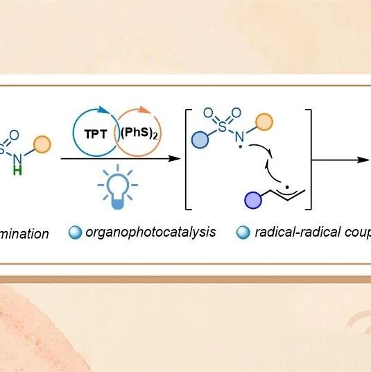 南昌大学黄程/蔡琥团队Org. Lett.：可见光与有机小分子协同催化烯丙位C(sp³)−H键磺胺胺化反应