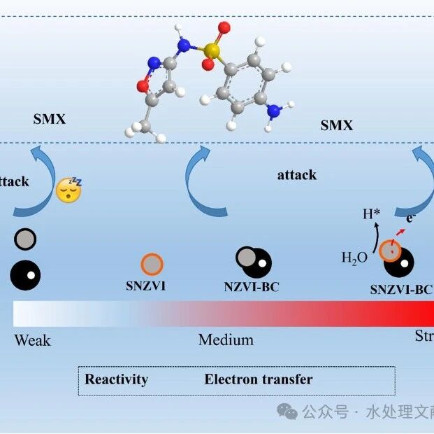 文献速递 | 井冈山大学肖小雨课题组CEJ：生物炭负载和硫化协同影响纳米零价铁对磺胺甲恶唑的反应性