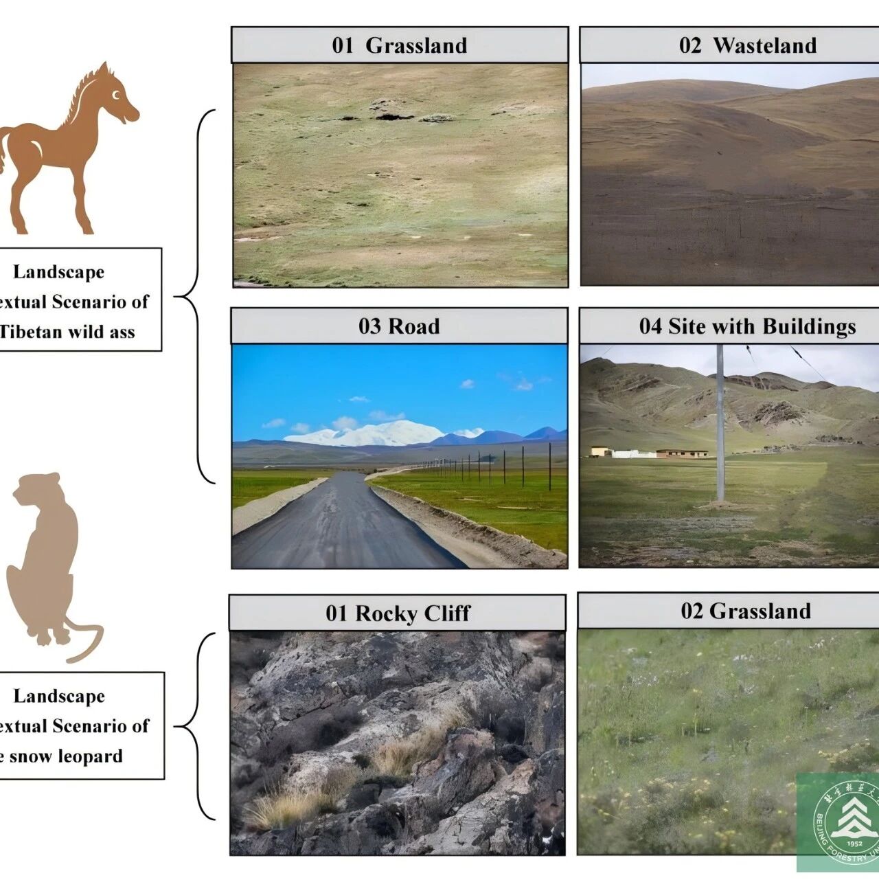 Journal of Ecotourism | 北京林业大学在国家公园野生动物观赏与游客情绪行为研究中取得新进展