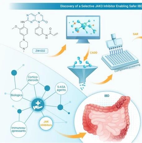 The Innovation Drug Discovery | 从泛抑制到精准靶向：JAK3高选择性共价抑制剂在炎症性肠病治疗中的应用