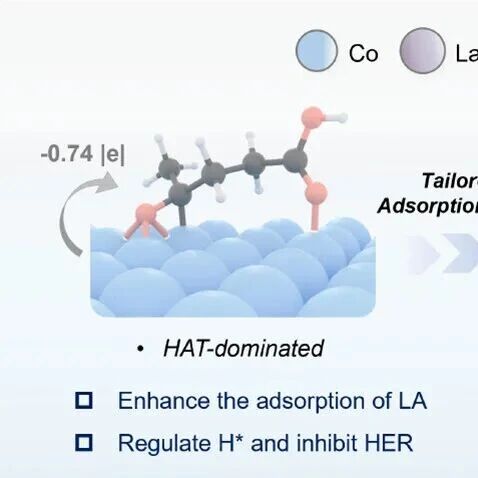 张亚文团队在电催化生物质转化催化剂设计与构效关系研究取得新进展