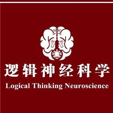 Adv Sci：越运动心态越稳？西交大李燕/马现仓/王崴团队揭示运动抵御精神应激的肌-脑轴新机制