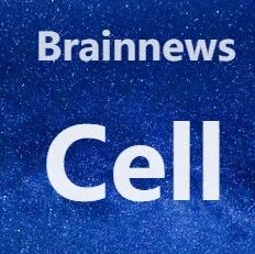 Cell最新综述：阿尔茨海默病最新研究进展——从分子机制到治疗策略
