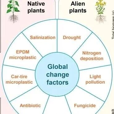 National Science Review：多重全球变化背景下植物-土壤反馈促进外来植物入侵