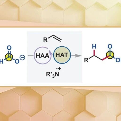 【JACS Au】印度理工学院Debabrata Maiti：光催化非活化烯烃的Anti-Markovnikov氢羧基化反应