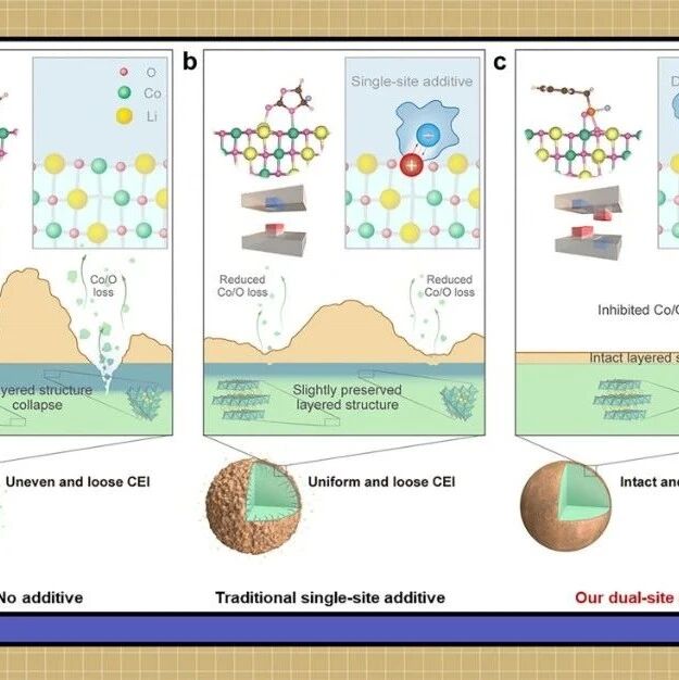 中国科学技术大学周敏、厦门大学杨勇团合作：以分子“榫卯”结构破解高电压LiCoO₂界面失稳