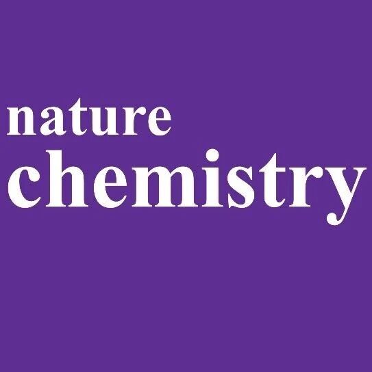 北大/北化工，Nature Chemistry！