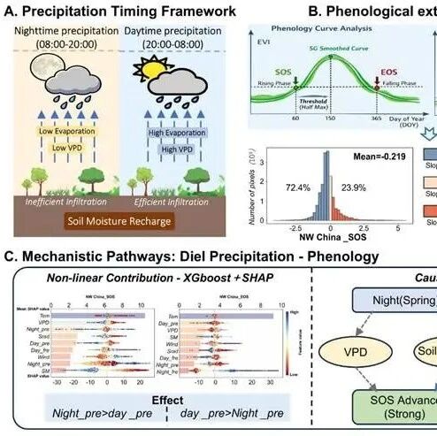 Earth's Future | 新疆师范大学王勇辉教授团发文揭示“何时下雨”重塑水分限制生态系统的植被物候
