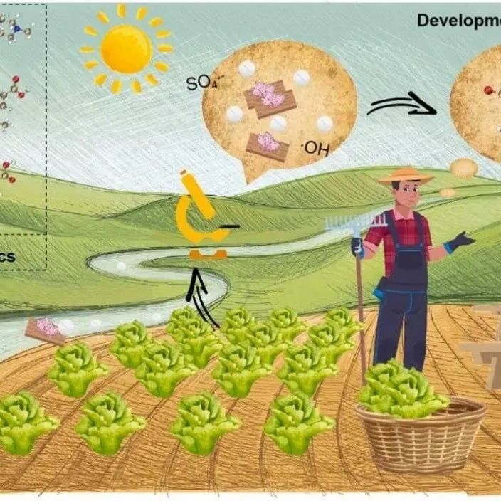 Journal of Hazardous Materials | 中国农业科学院研发新型光催化复合材料高效降解土壤-植物系统中新污染物氟喹诺酮类抗生素