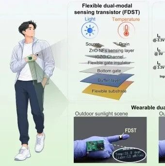 延世大学Hyun Jae Kim等：深度学习解耦实现光温独立解析的柔性双模态传感晶体管