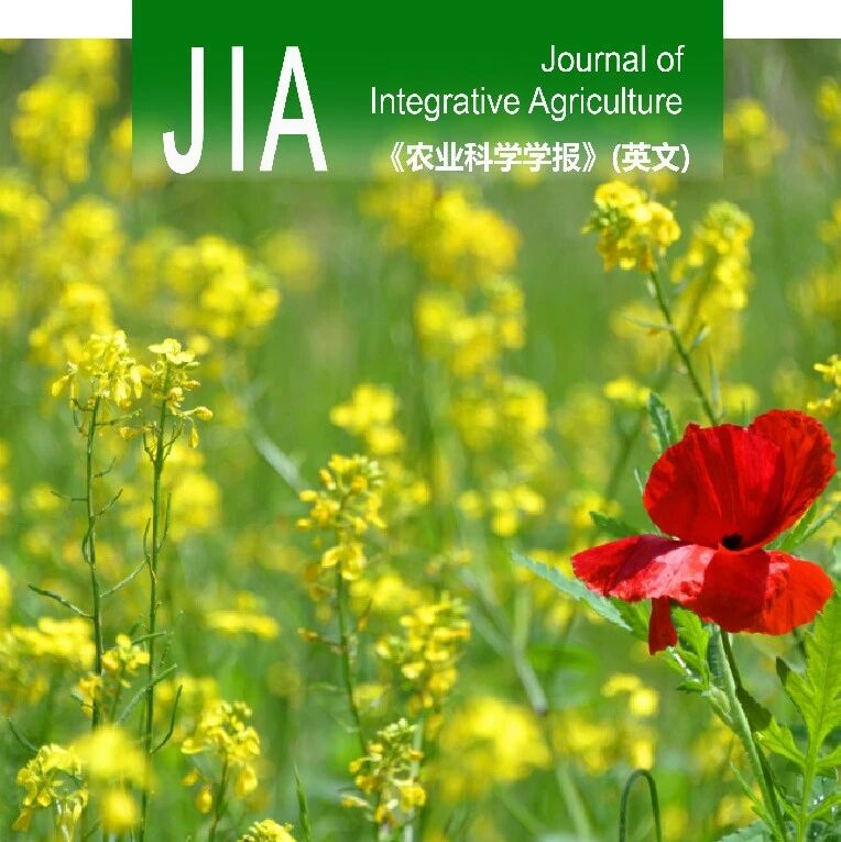 JIA | 华中农业大学徐芳森教授课题组揭示甘蓝型油菜硼效率相关性状遗传基础及硼高效候选基因