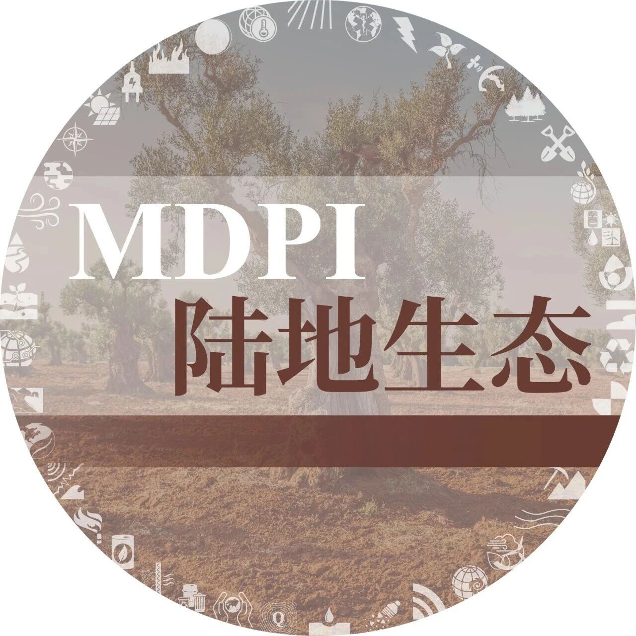 Land 从土地覆被变化看彩虹鱼保护：西新几内亚鸟头半岛的遥感证据