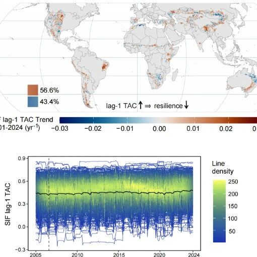 兰州大学黄建平院士团队在《Nature Communications》发表最新成果，在全球半干旱区植被变绿与恢复力下降方面取得重要进展！