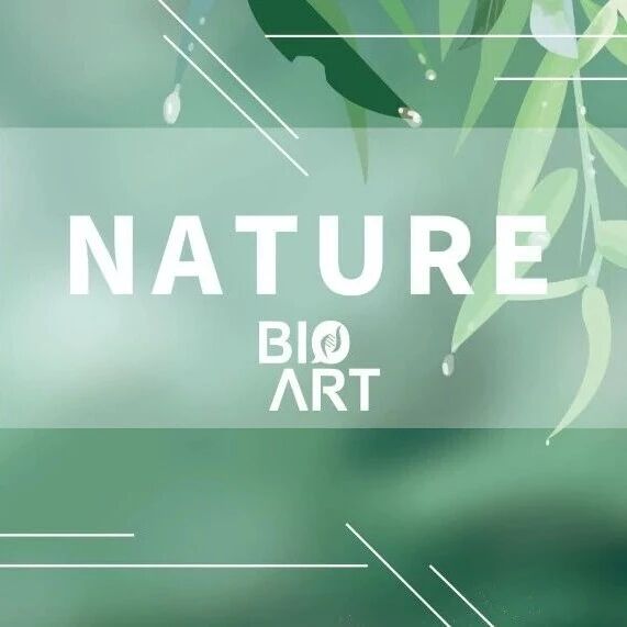 Nature | 饮食——肠道菌群协同决定肥胖相关抗PD-1疗效