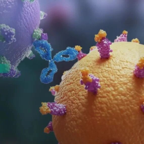 双特异性抗体综述：汇总501个多抗分子和112种分子结构，全面梳理体临床研究进展