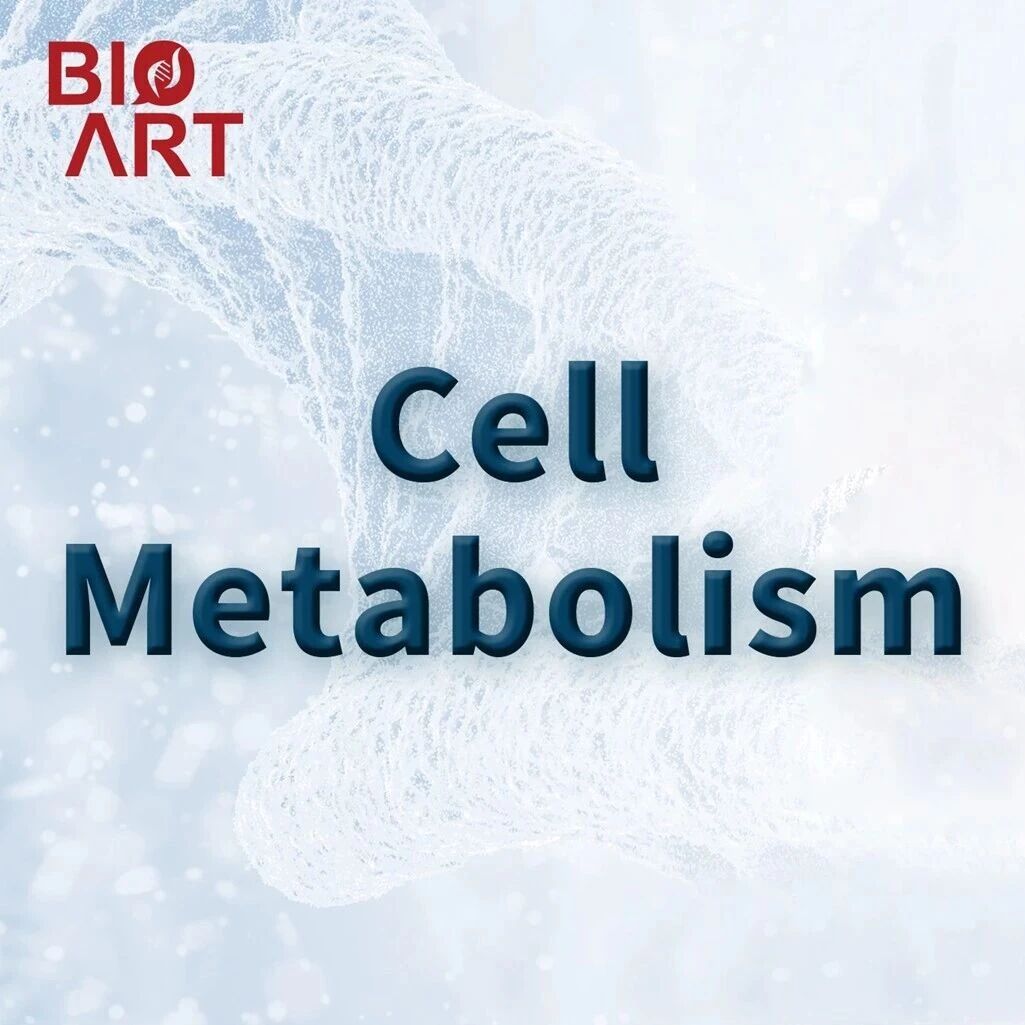 Cell Metab｜适度补充蛋氨酸的低氨基酸饮食可改善老年小鼠的健康寿命