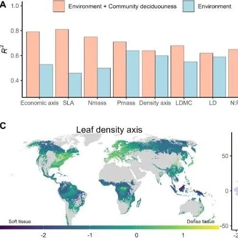 Science Advances | 群落叶性状地理分布及其与最大光合速率的关系