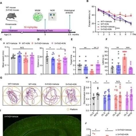 Adv Sci | 军事医学科学院袁增强等团队发现小胶质细胞IDH1是驱动阿尔茨海默病的关键因子