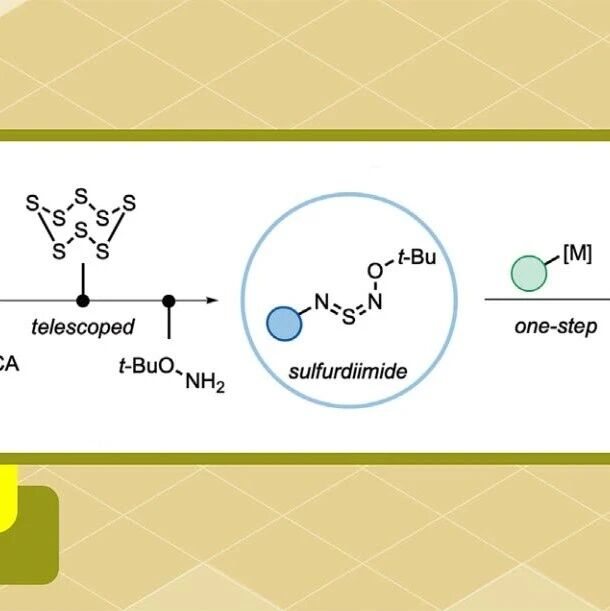 【Angew. Chem.】英国牛津大学Michael C. Willis课题组：N-烷氧基磺酰二亚胺试剂的合成及其应用于一级磺酰亚胺酰胺的合成