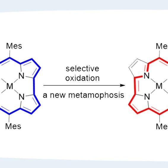 【Angew. Chem.】湖南师大宋建新教授课题组：四重N-错位[32]八元卟啉双金属配合物经氧化蜕变为双重连接的10-氧杂咔咯金属配合物二聚体