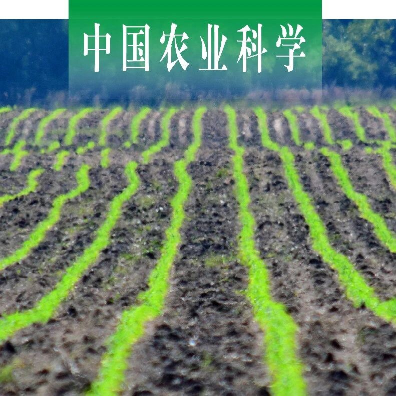 中国农业科学｜沈阳农业大学汪景宽教授课题组探析东北地区近30年农资投入驱动的碳排放时空格局演化特征