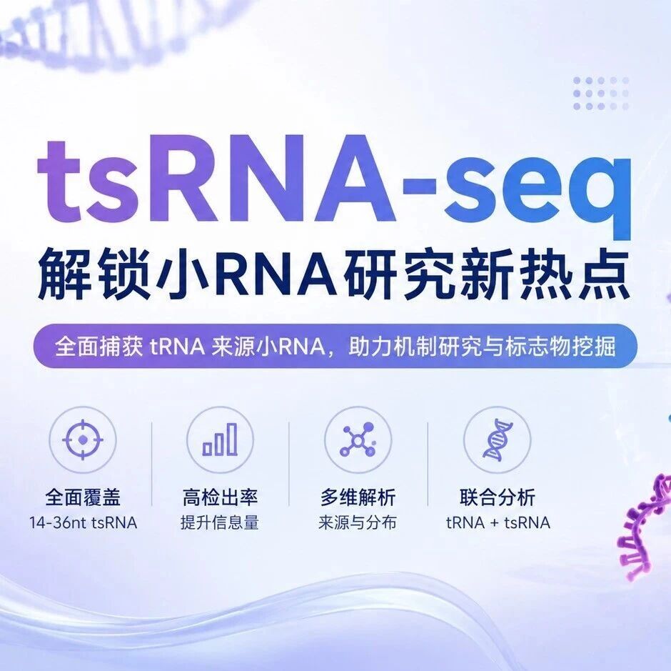 从tRNA到tsRNA，全景解析翻译调控网络