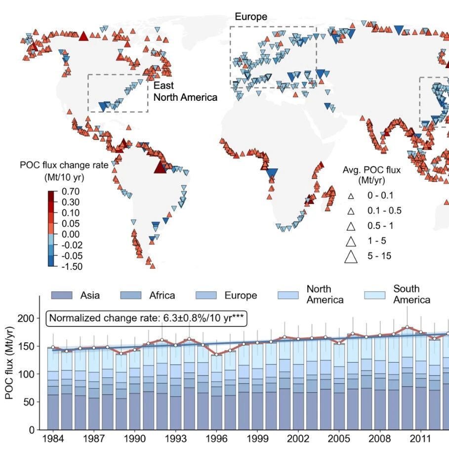 Nature Geoscience | 北京大学环境学院李东锋课题组揭示过去四十年全球河流入海颗粒有机碳通量变化特征及驱动机制