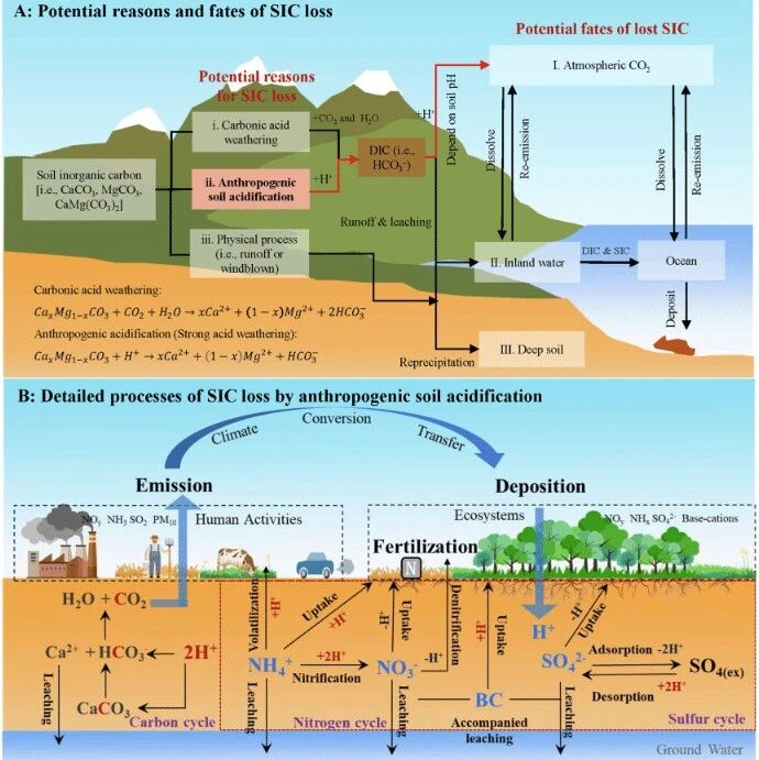 Commun Earth Environ & Earth’s Future｜天津大学刘丛强院士团队揭示我国土壤无机碳库变化的驱动机制及气候效应