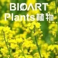 PCE | 河南大学油菜逆境生物学团队解析WRKY转录因子负调控油菜耐旱性机制
