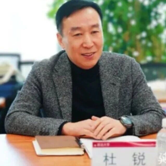 主动投案 - 211/双一流高校党委书记、国家领军人才、二级教授