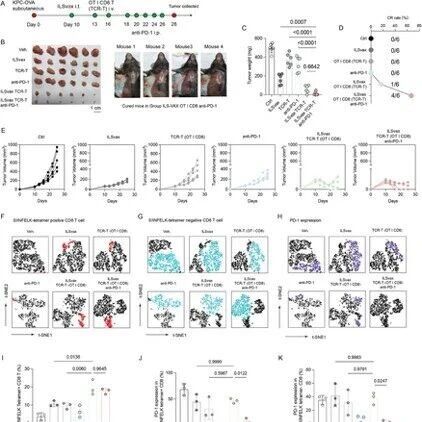 Adv Sci：浙江大学胡奇达/梁廷波发现局部给药诱导抗原扩散增强胰腺癌过继性TCR-T细胞治疗