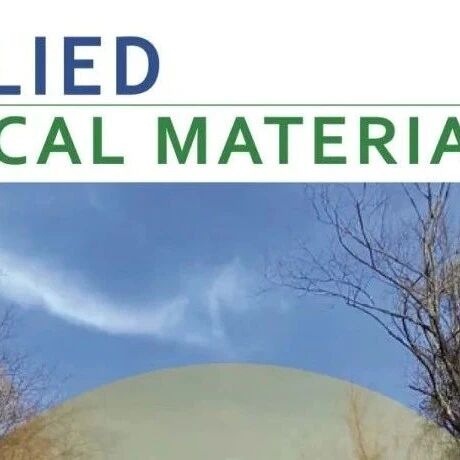 ACS Applied Optical Materials | 基于铁磁异质结超表面的偏振可调谐宽带太赫兹辐射源
