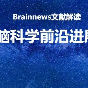 Mol. Psychiatry：浙大汪军/徐晗团队揭示压力诱发焦虑的神经环路与分子机制