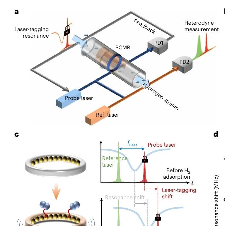 研究前沿：电子科技大学，光流控微腔传感-氢检测 | Nature Photonics