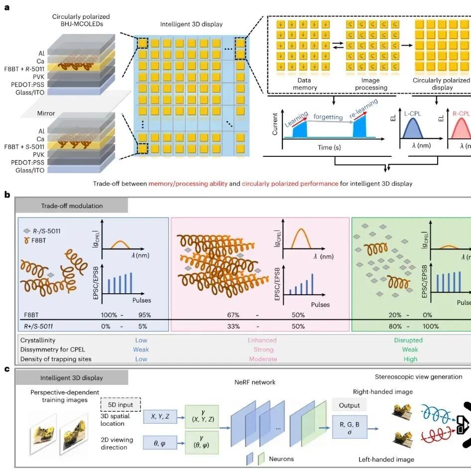 研究前沿：福州大学-存算一体，有机发光二极管 | Nature Photonics