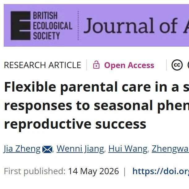 Journal of Aniamal Science | 双亲合作还是雌性独育？环境如何塑造鸟类育儿分工