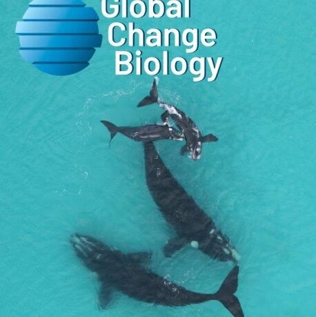 GCB | 重磅研究"出圈"联合国：东北林业大学的这篇研究，正在改写"自然解决方案"