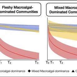 Ecology Letters:揭示海洋底栖生物在海洋酸化下的功能变化