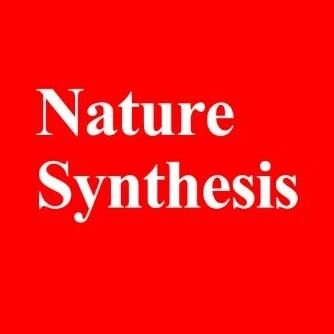 56页PDF回应质疑！暨南大学，校史首篇Nature Synthesis诞生！