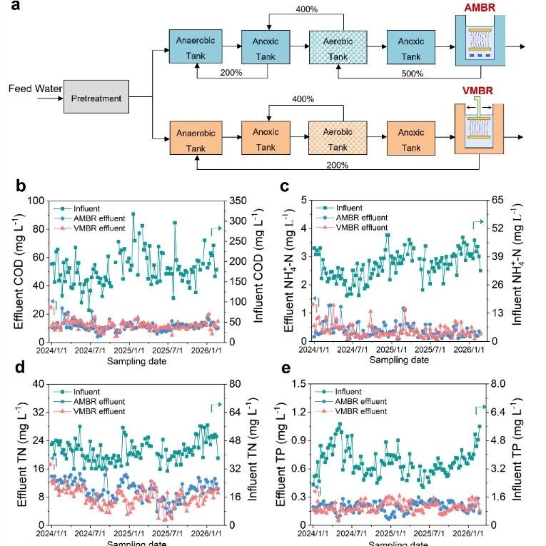 Nature Communications | 北京师范大学环境学院林炜琛讲师联合清华大学团队发文揭示振动膜生物反应器节能增效机制