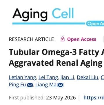 AGING CELL | 四川大学华西医院付平/马良团队：肾小管鱼油受体FFAR4缺失是肾脏衰老和慢性肾脏病的重要共性机制