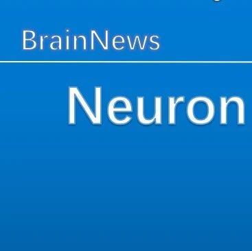 Neuron：为什么高能量食物越吃越想吃？北京脑所龚蓉实验室发现关键神经机制