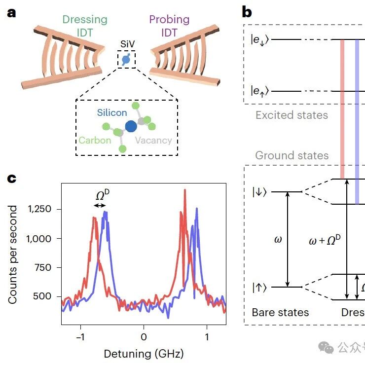 研究进展：表面声波-量子比特降噪 | Nature Physics