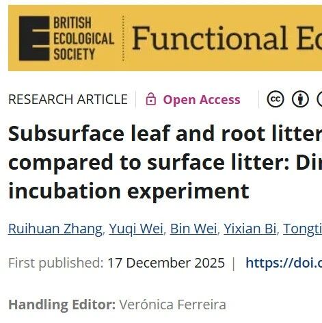 Functional Ecology |  凋落物进入地下，才更容易变成土壤碳？