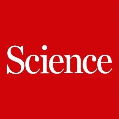 「国家杰青」傅强领衔！四川大学吴凯Science子刊 | 非晶富集聚乙烯纤维的高导热性能！